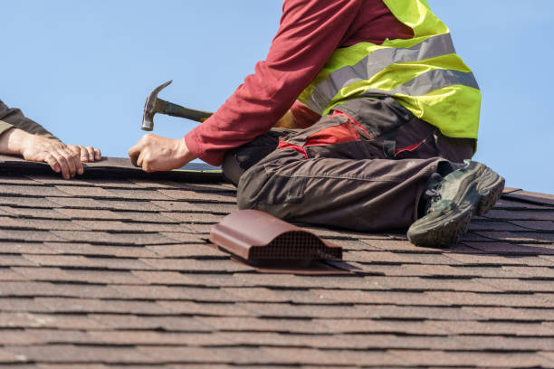 Best Roof Gutter Cleaning  in Freer, TX