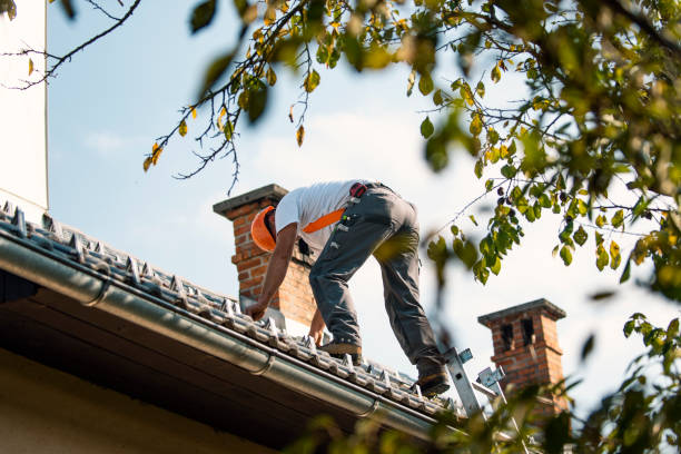 Professional Roofing Contractor in Freer, TX