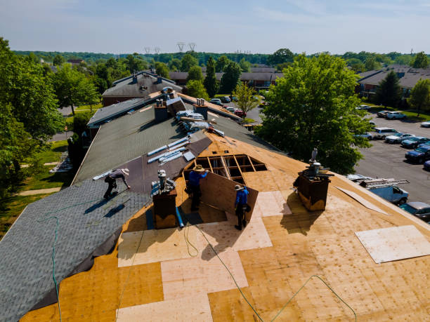 Quick and Trustworthy Emergency Roof Repair Services in Freer, TX