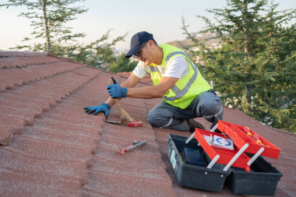 Best Flat Roof Repair Services  in Freer, TX